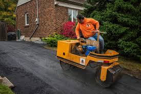 Best Driveway Border and Edging  in Belding, MI